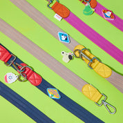 Froyo Leash