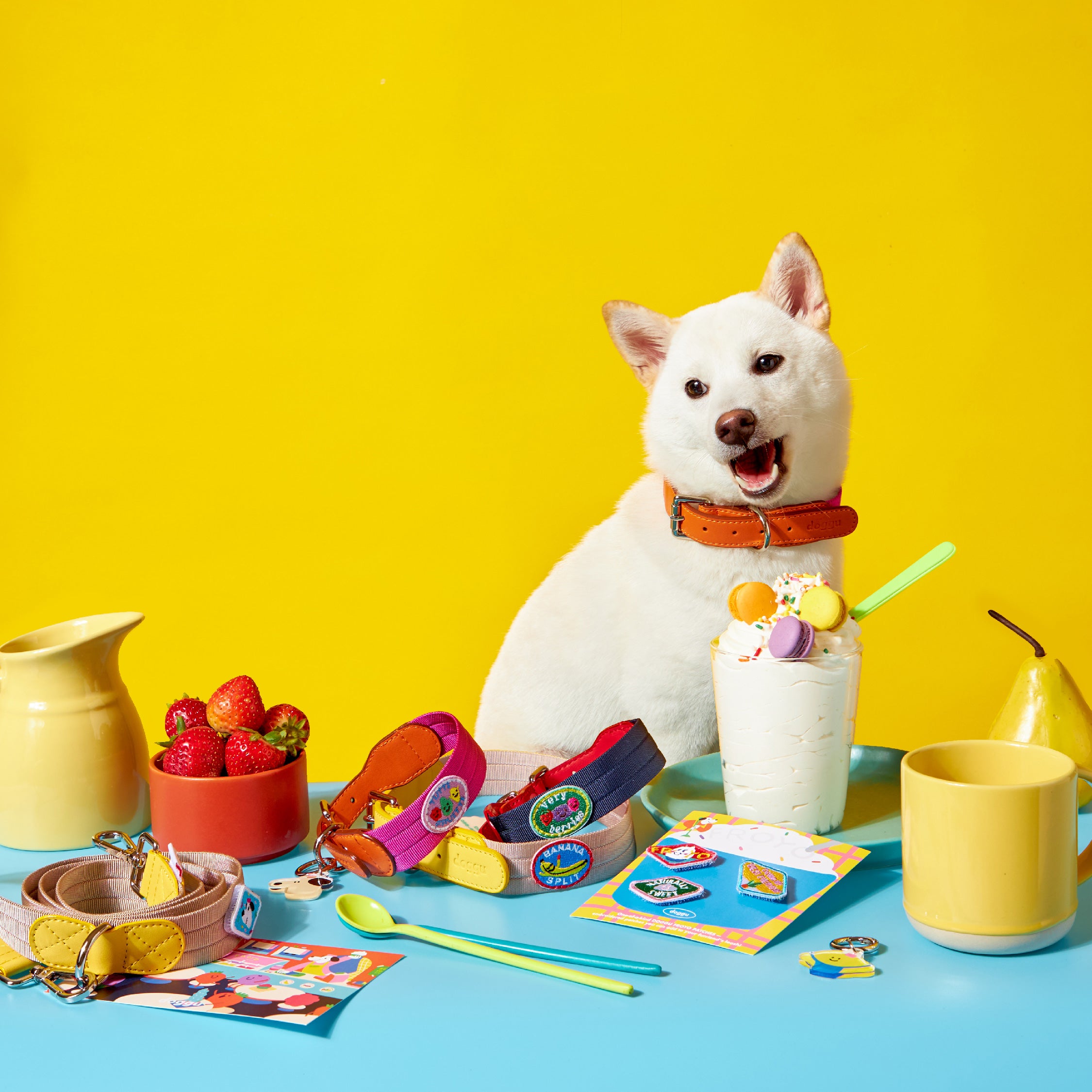 Froyo Collar