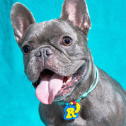 Create your own: Frankie Necklace