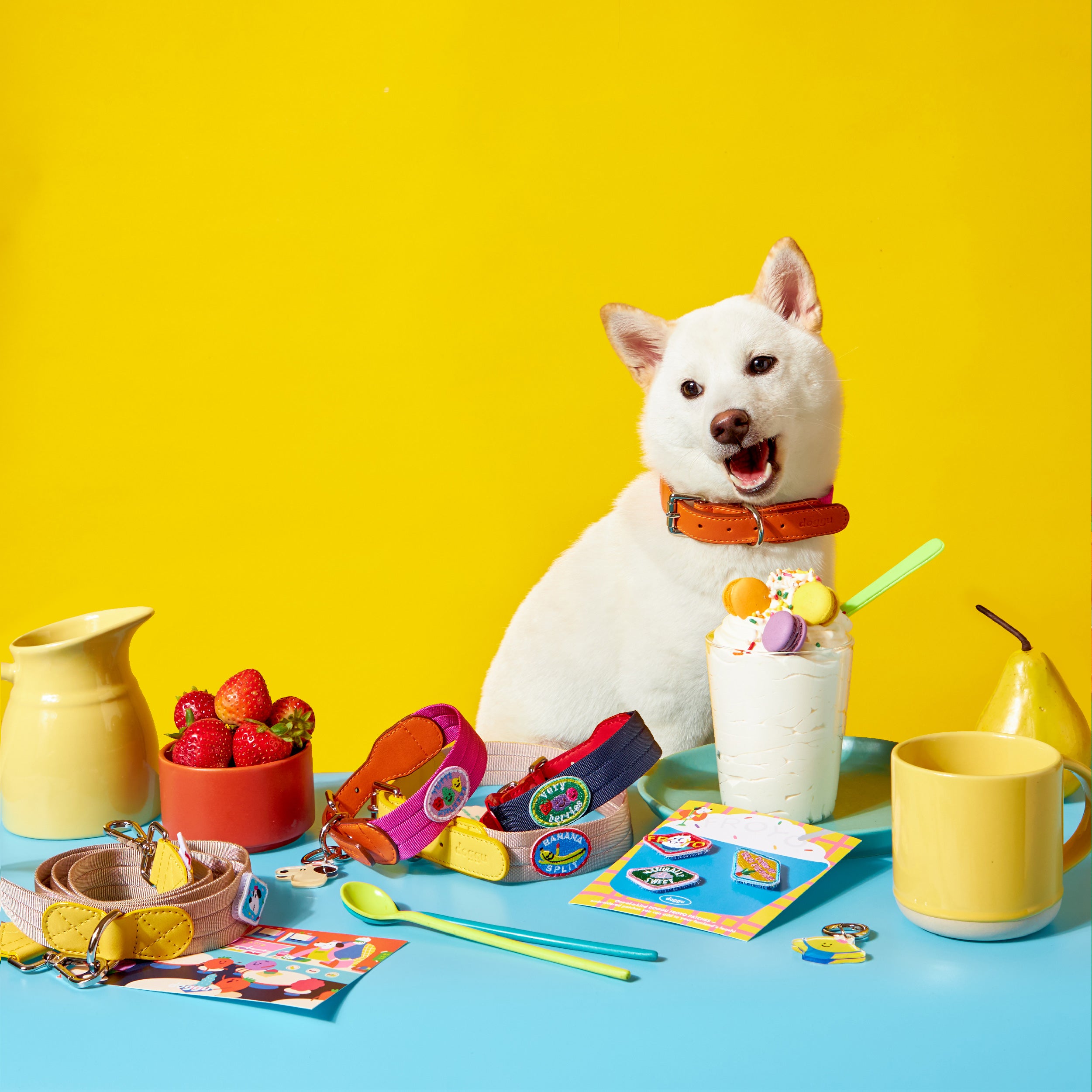 Froyo Leash