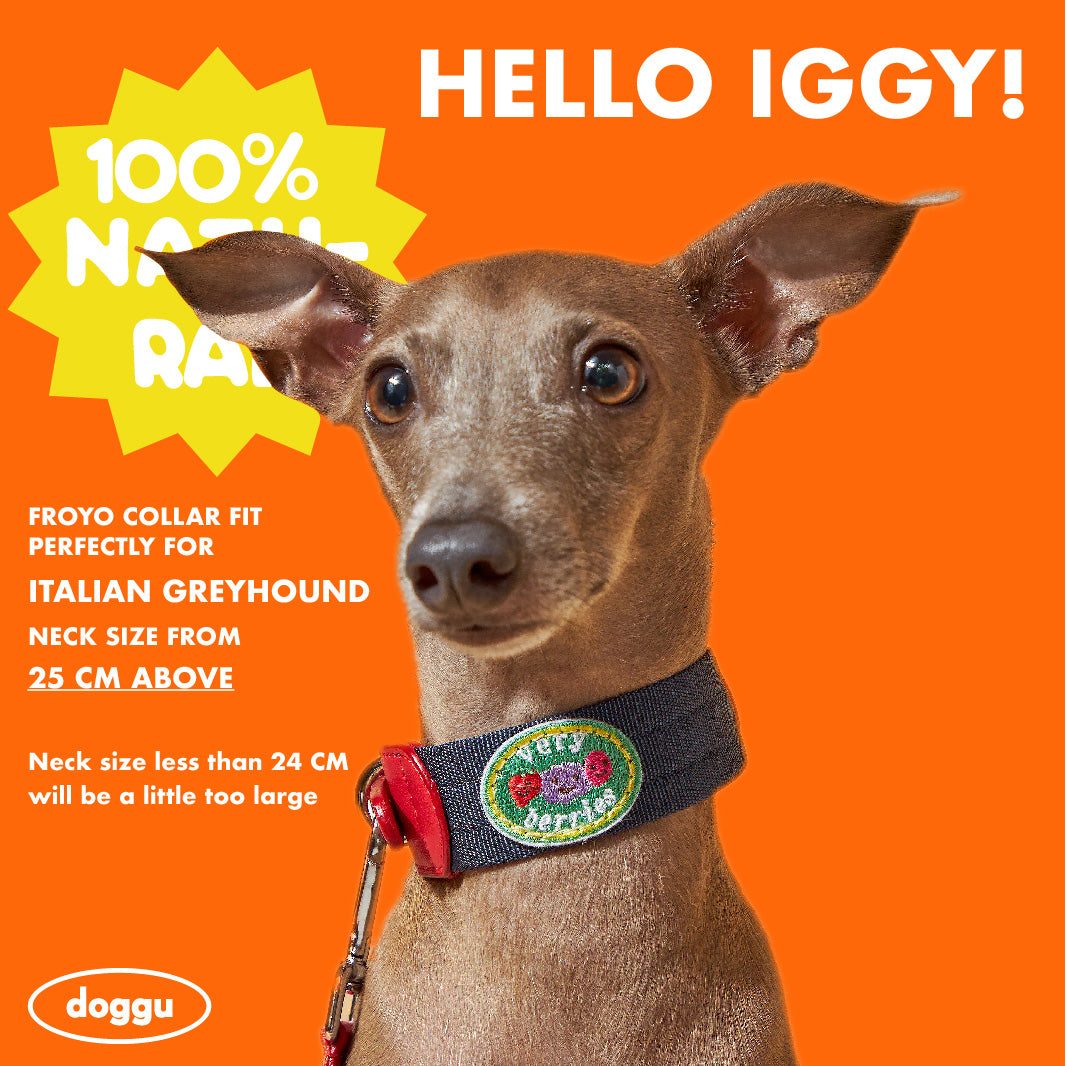 Froyo Collar