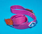 Froyo Leash