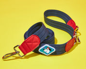 Froyo Leash