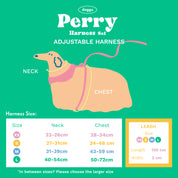 Perry Harness Set: Strawberry Afternoon