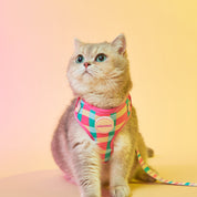 Perry Harness Set: Strawberry Afternoon