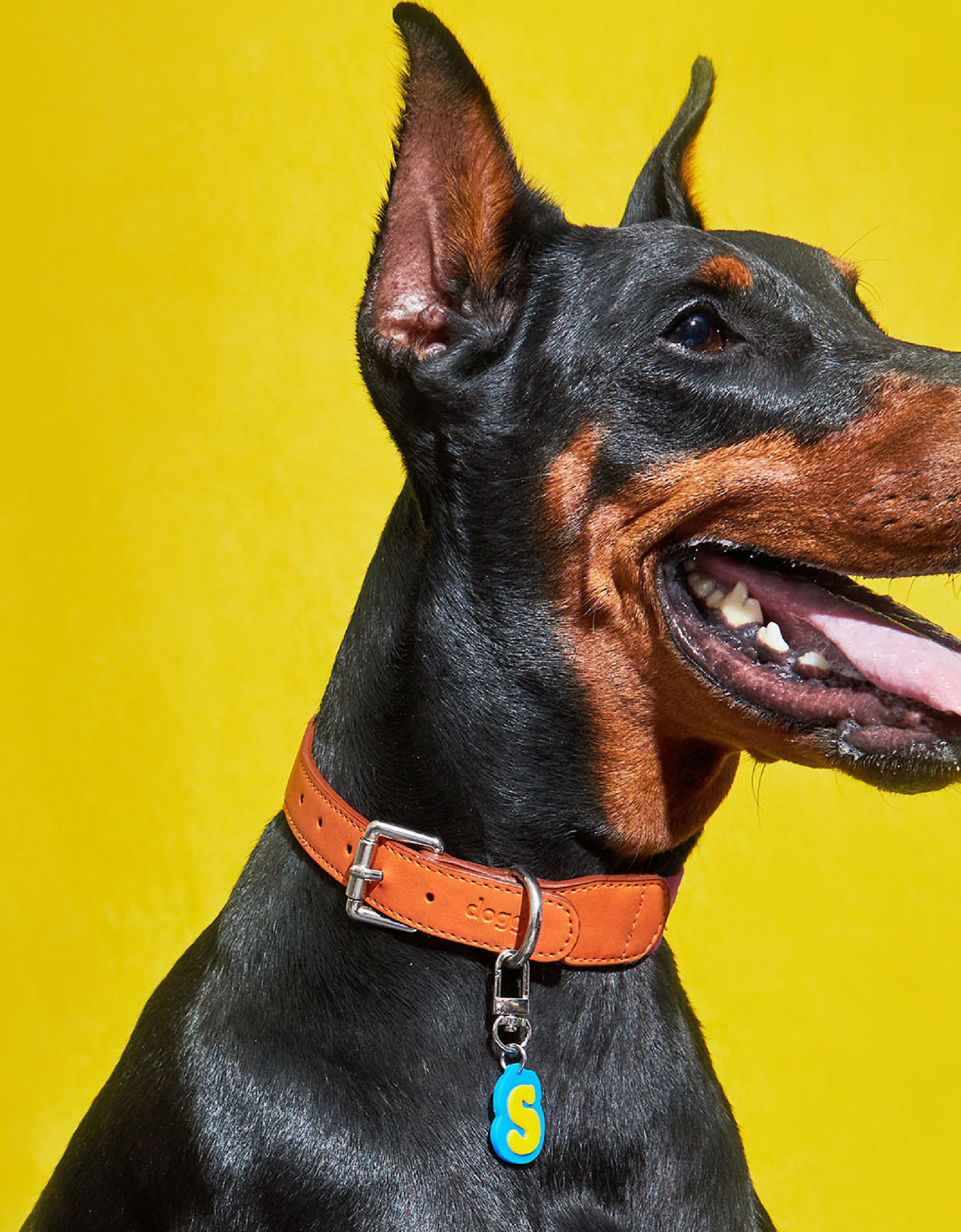 Create your own TAG : Frankie TAG