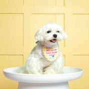 Bib Bib Hooray! Pet bib