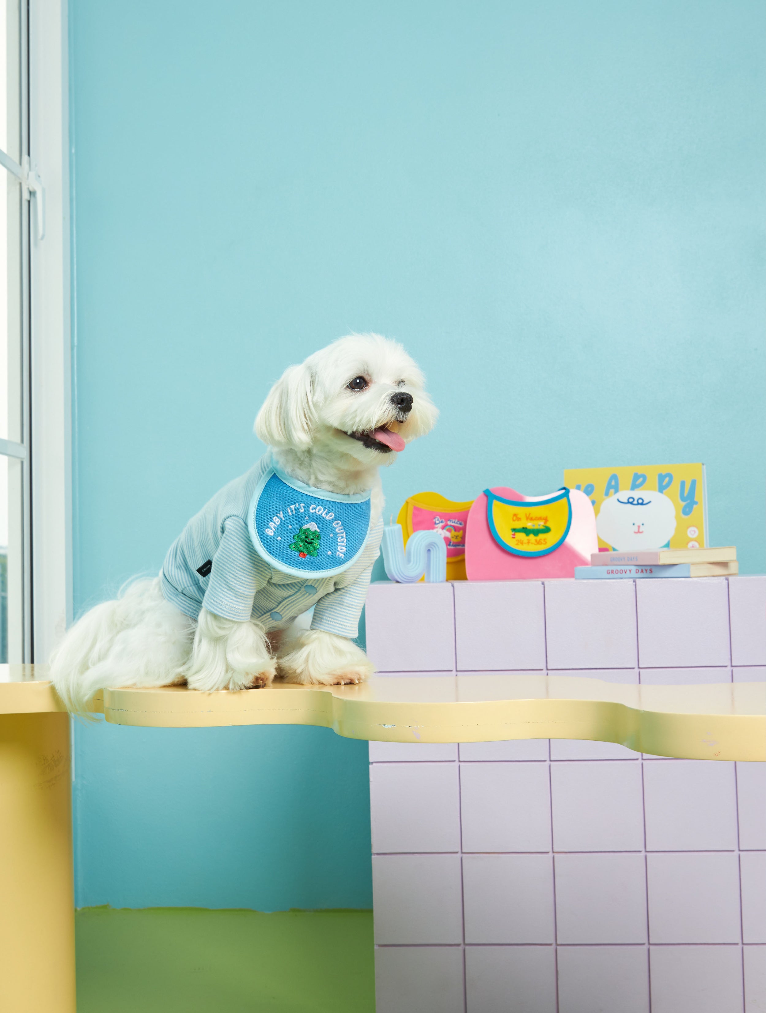 Happy Bib | Pet bib