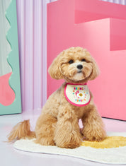 Happy Bib | Pet bib