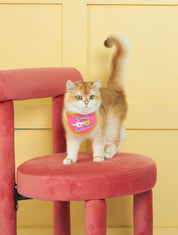 Happy Bib | Pet bib