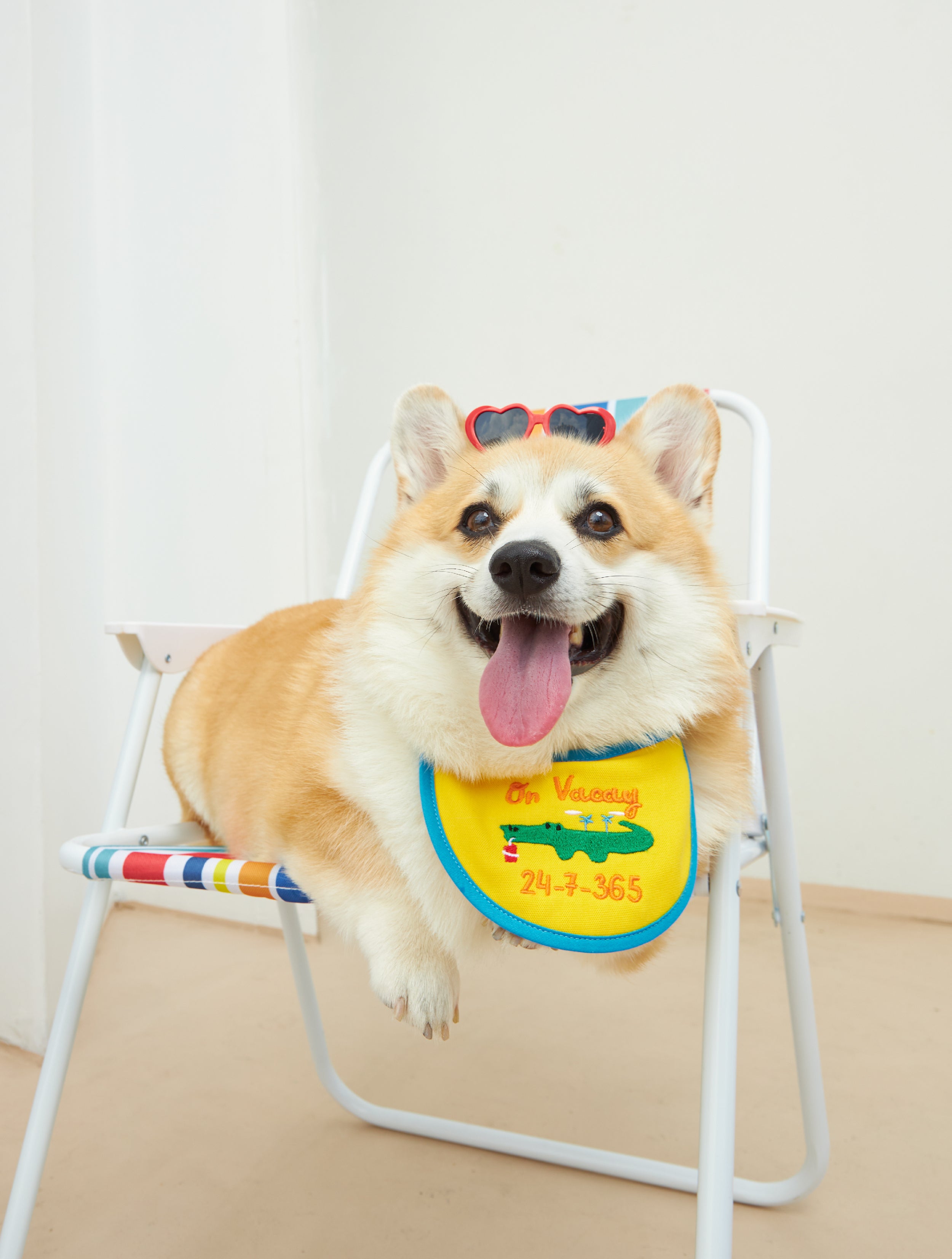 Happy Bib | Pet bib