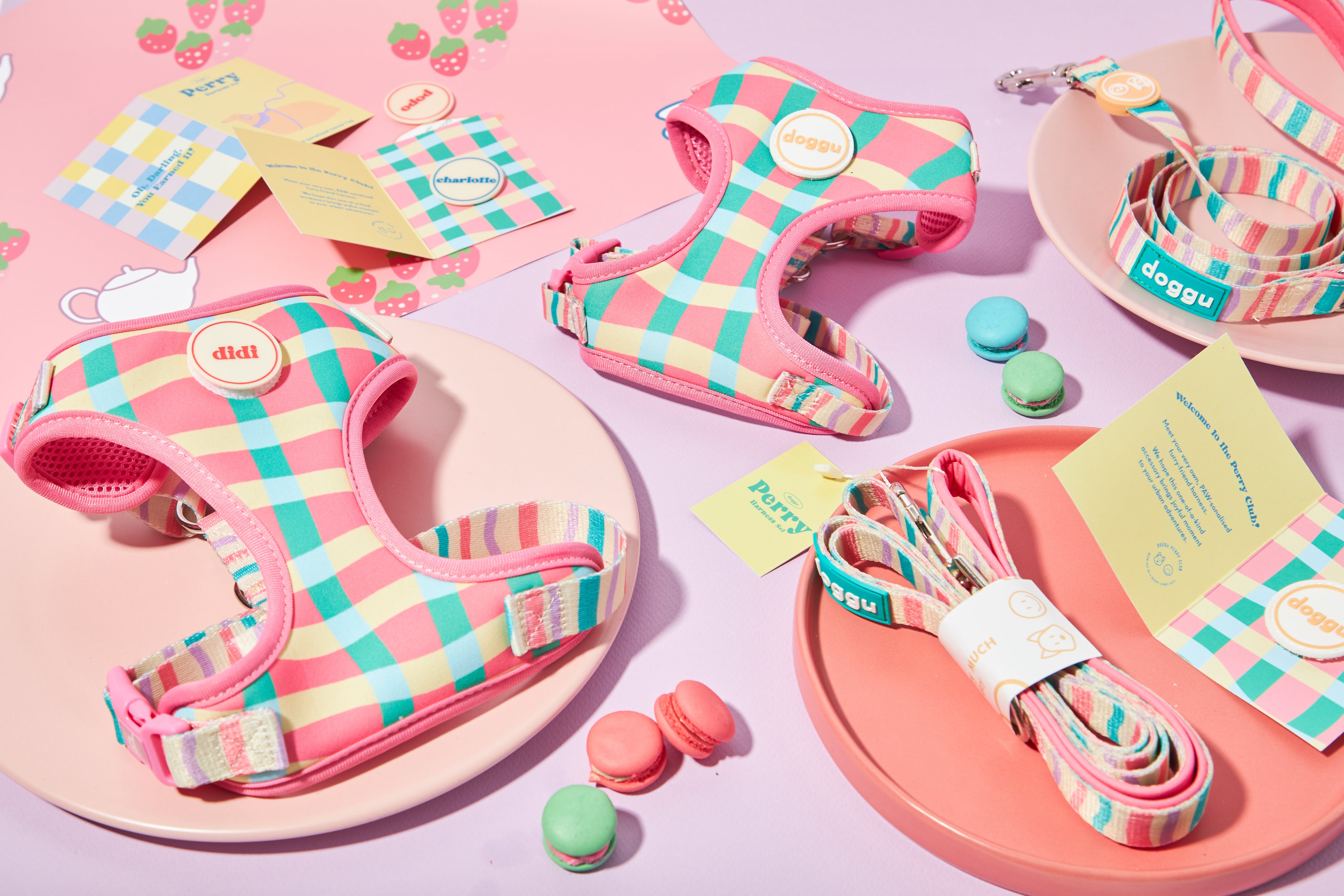 Perry Harness Set: Strawberry Afternoon