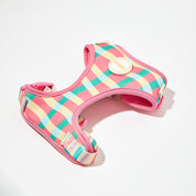 Perry Harness Set: Strawberry Afternoon