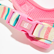Perry Harness Set: Strawberry Afternoon