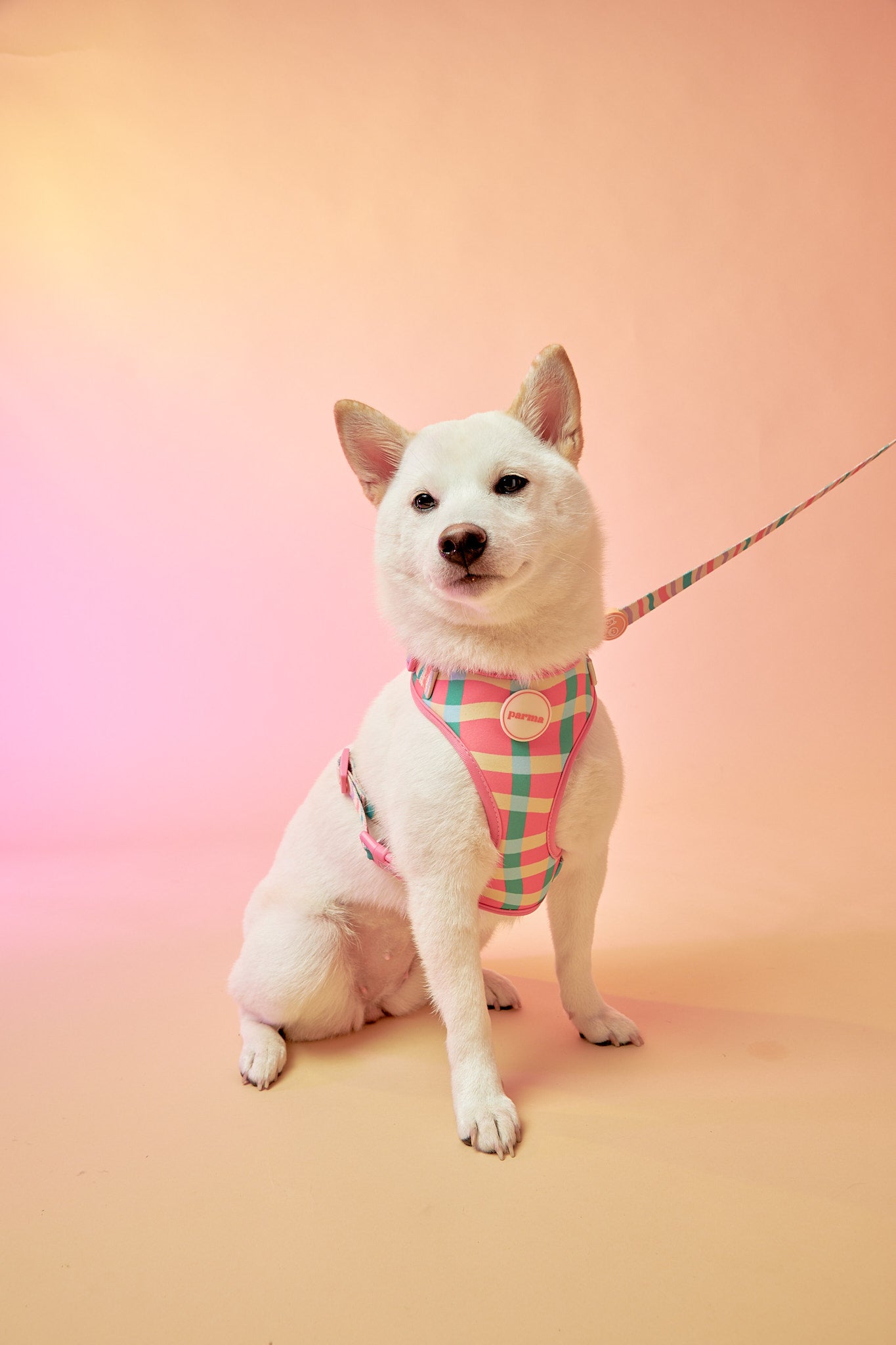 Perry Harness Set: Strawberry Afternoon