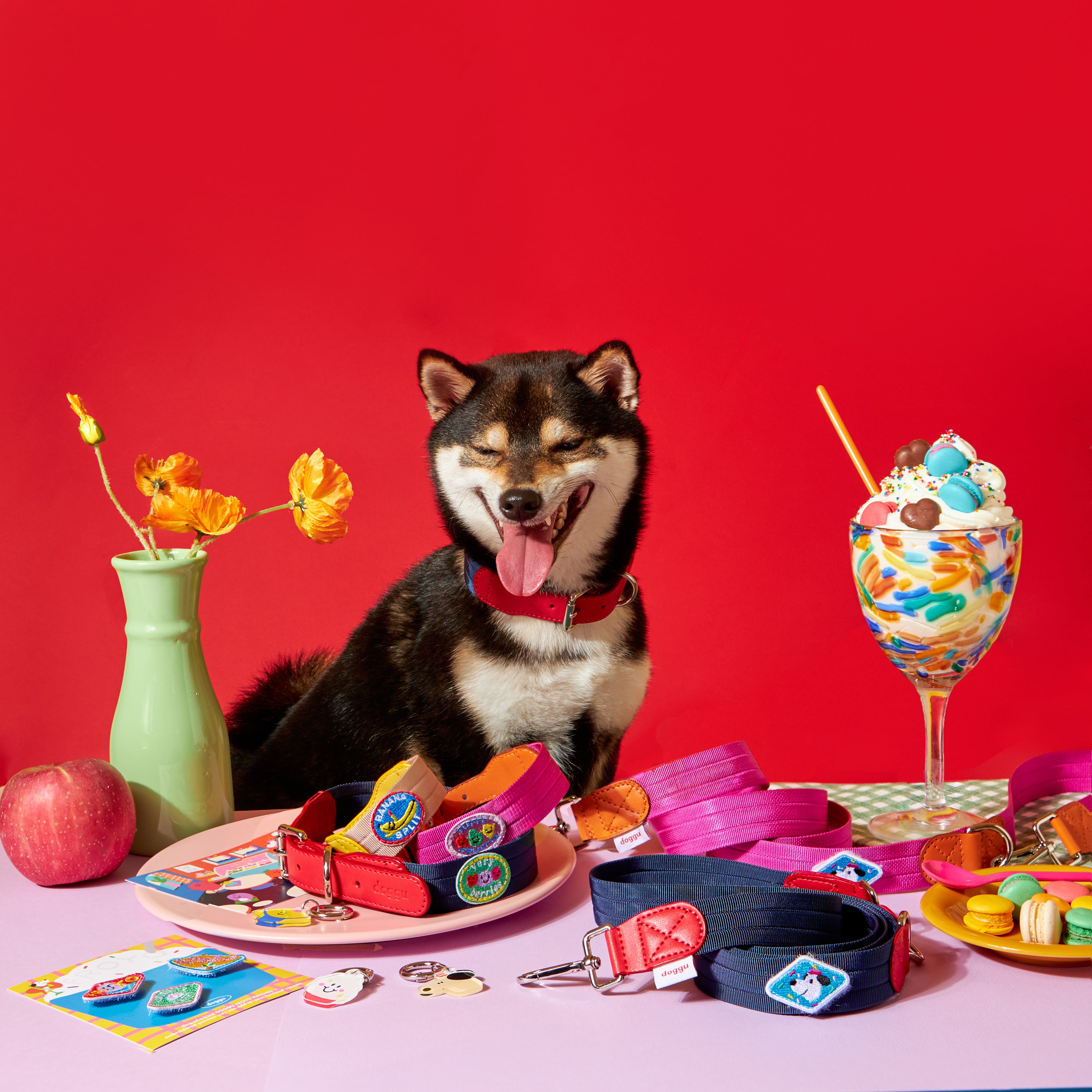 Froyo Collar