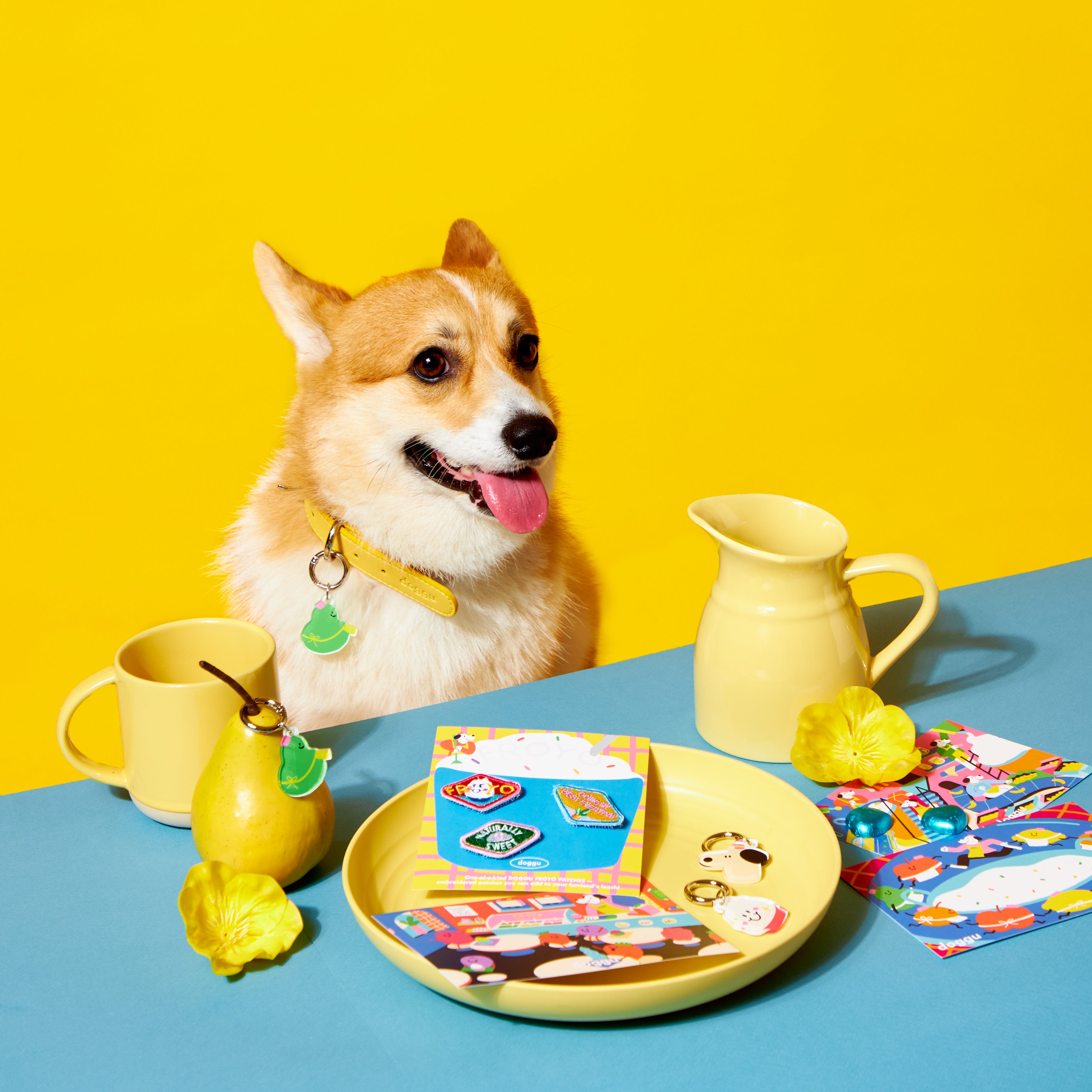 Froyo Collar