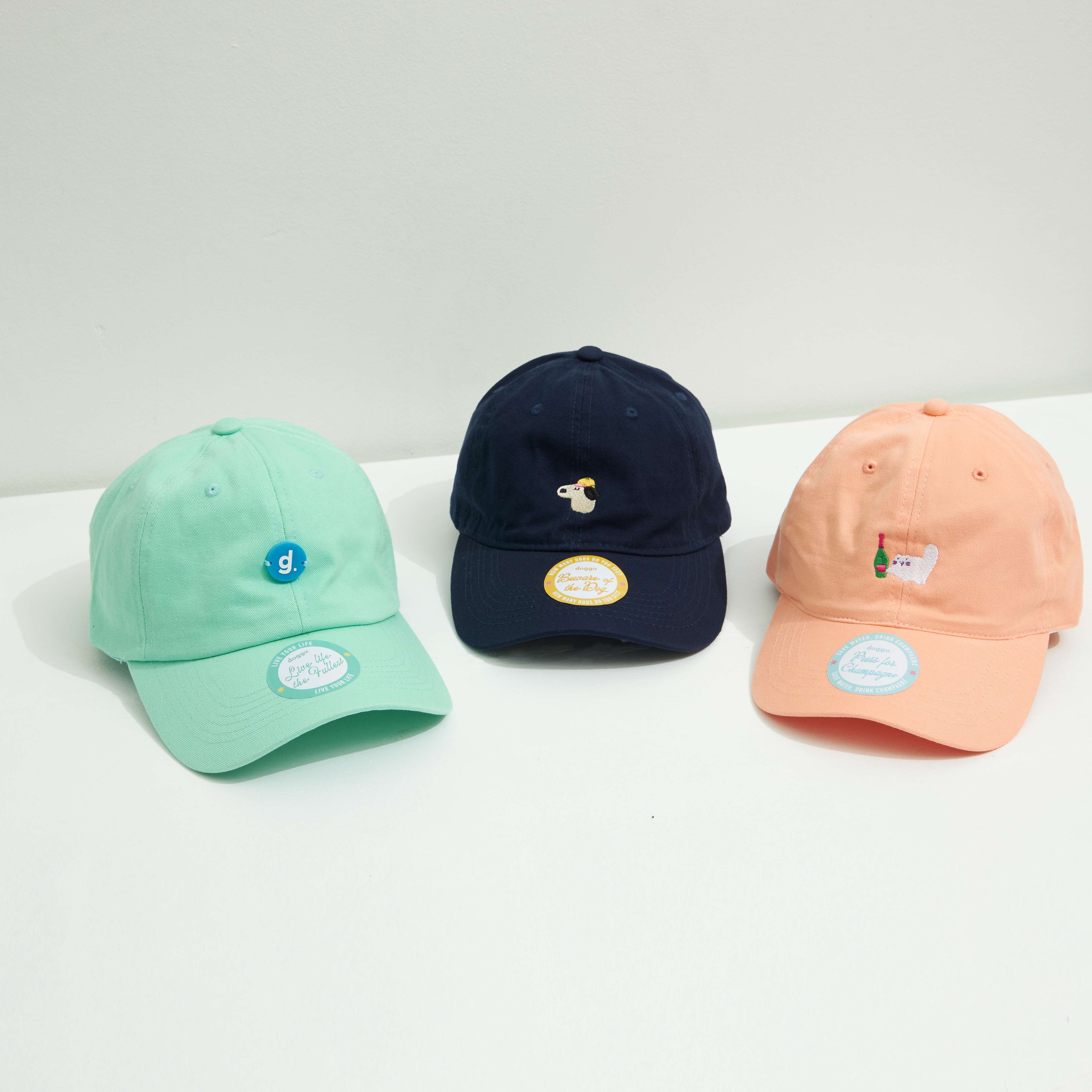 Every Season Cap : Beware of the Dog (Navy)
