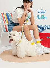 Did someone say walk Harness: Malibu