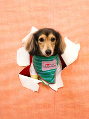I love my Bandana : Christmas 2025 Collection