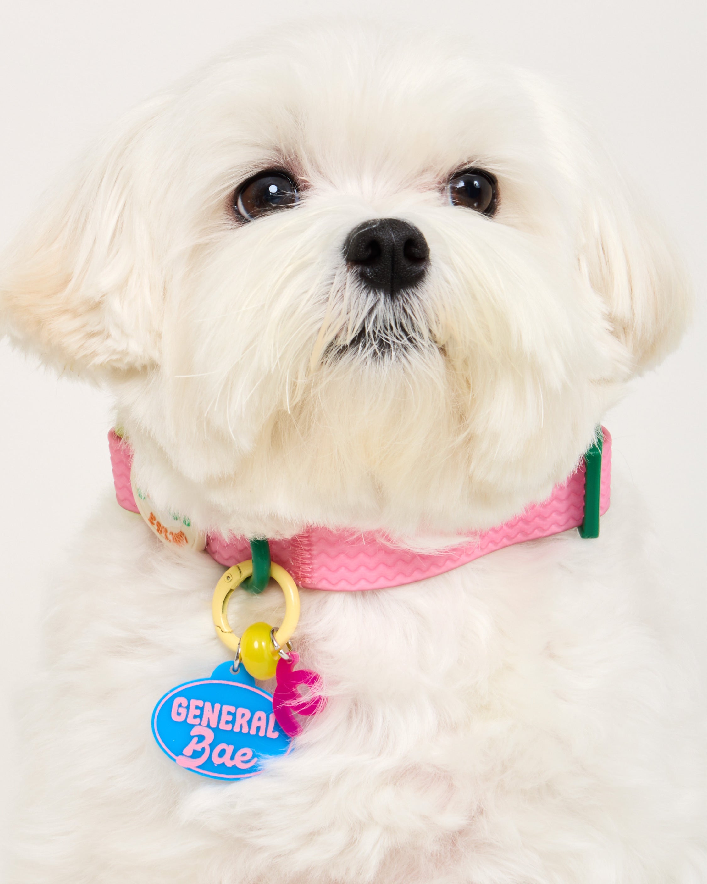 Create your own : Charm Bar