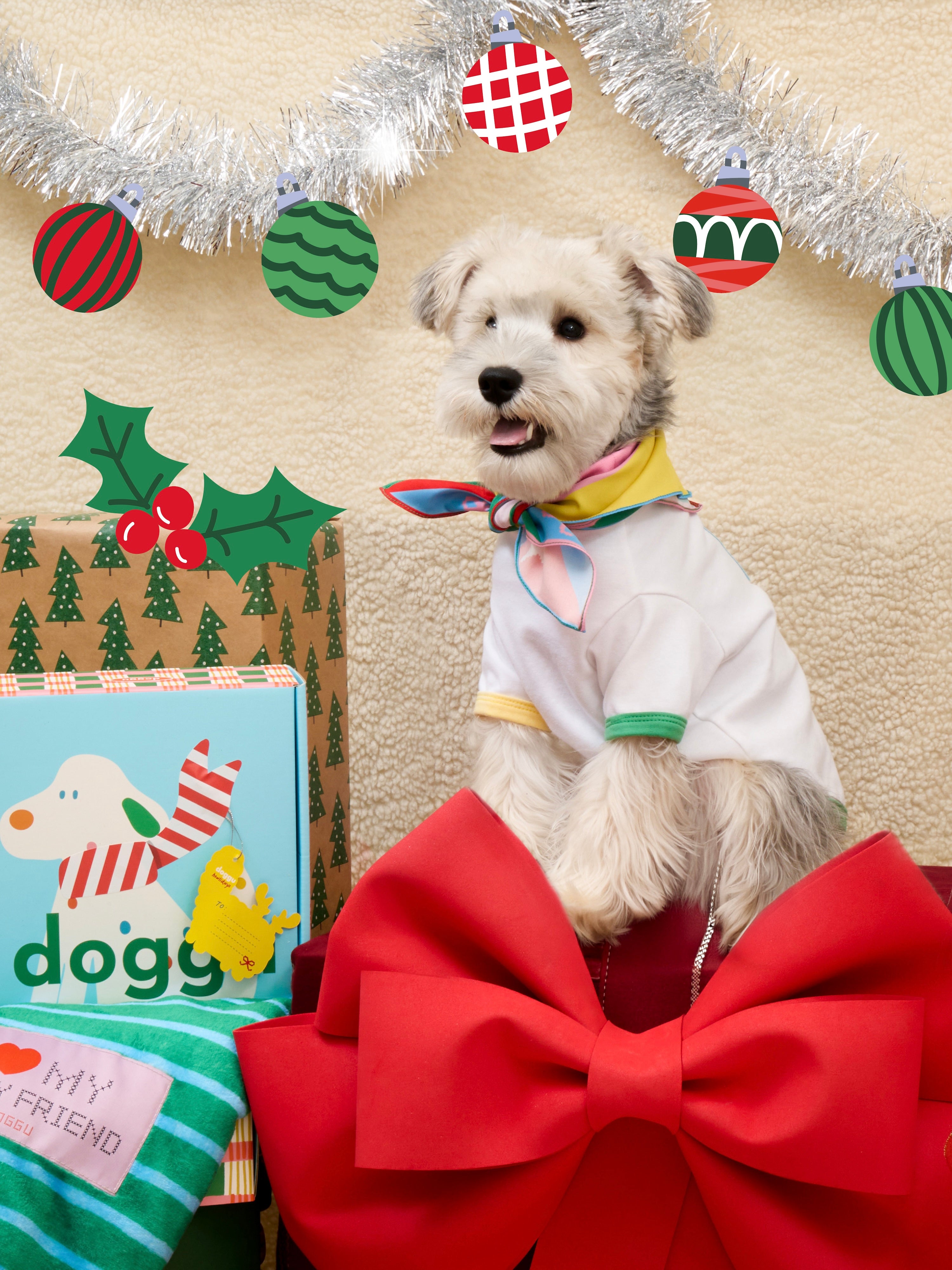 Create Your Own : Doggu Gift Set (Celebrate Together Hamper)