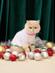 I’m too cute Pet Sweater : Chirstmas 2025 Collection