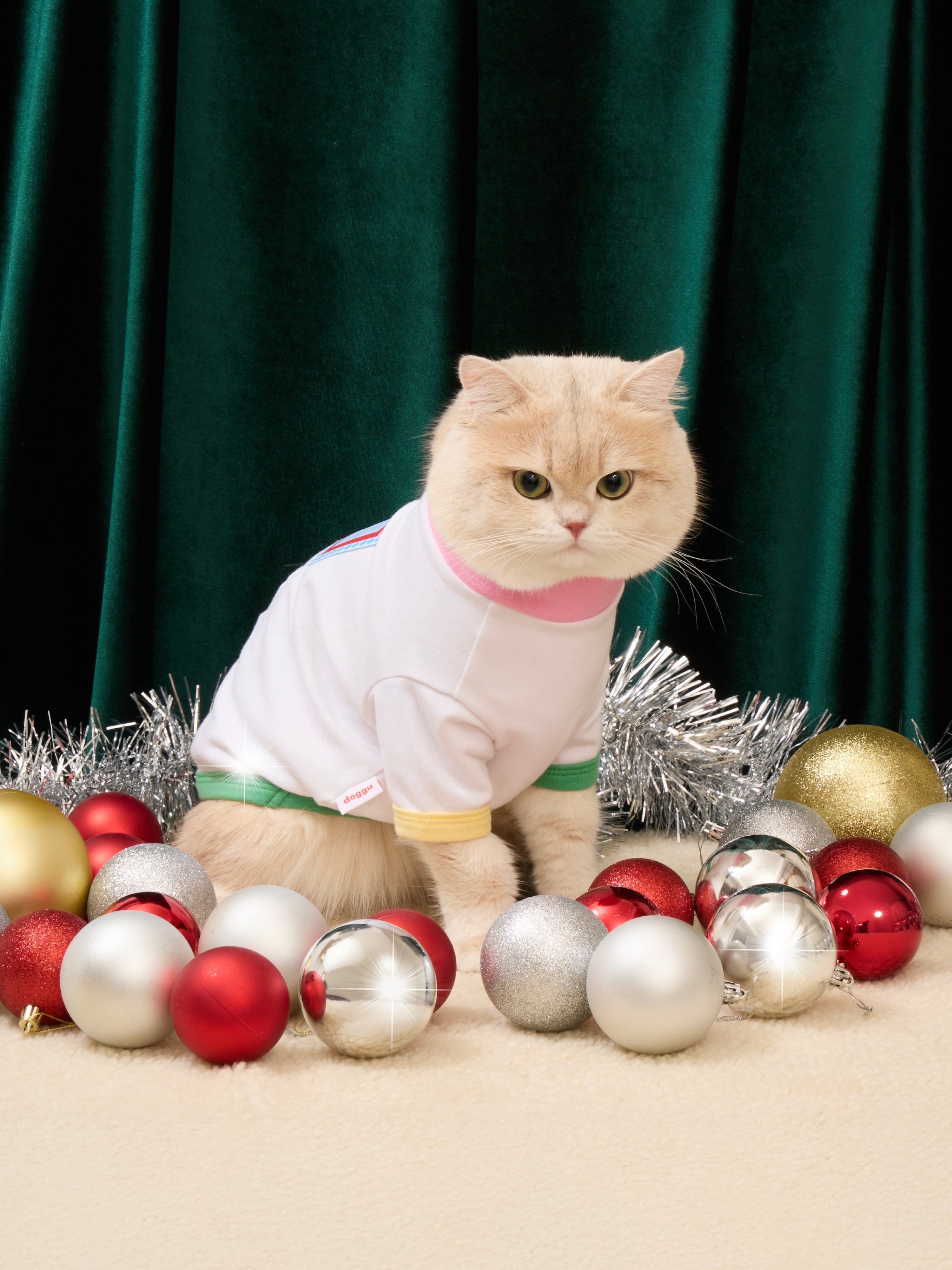 I’m too cute Pet Sweater : Chirstmas 2025 Collection
