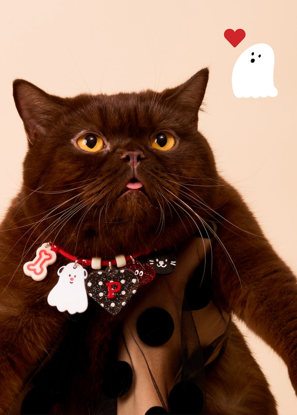 Create your own: Polkadog Collection