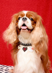 Create your own: Polkadog Collection
