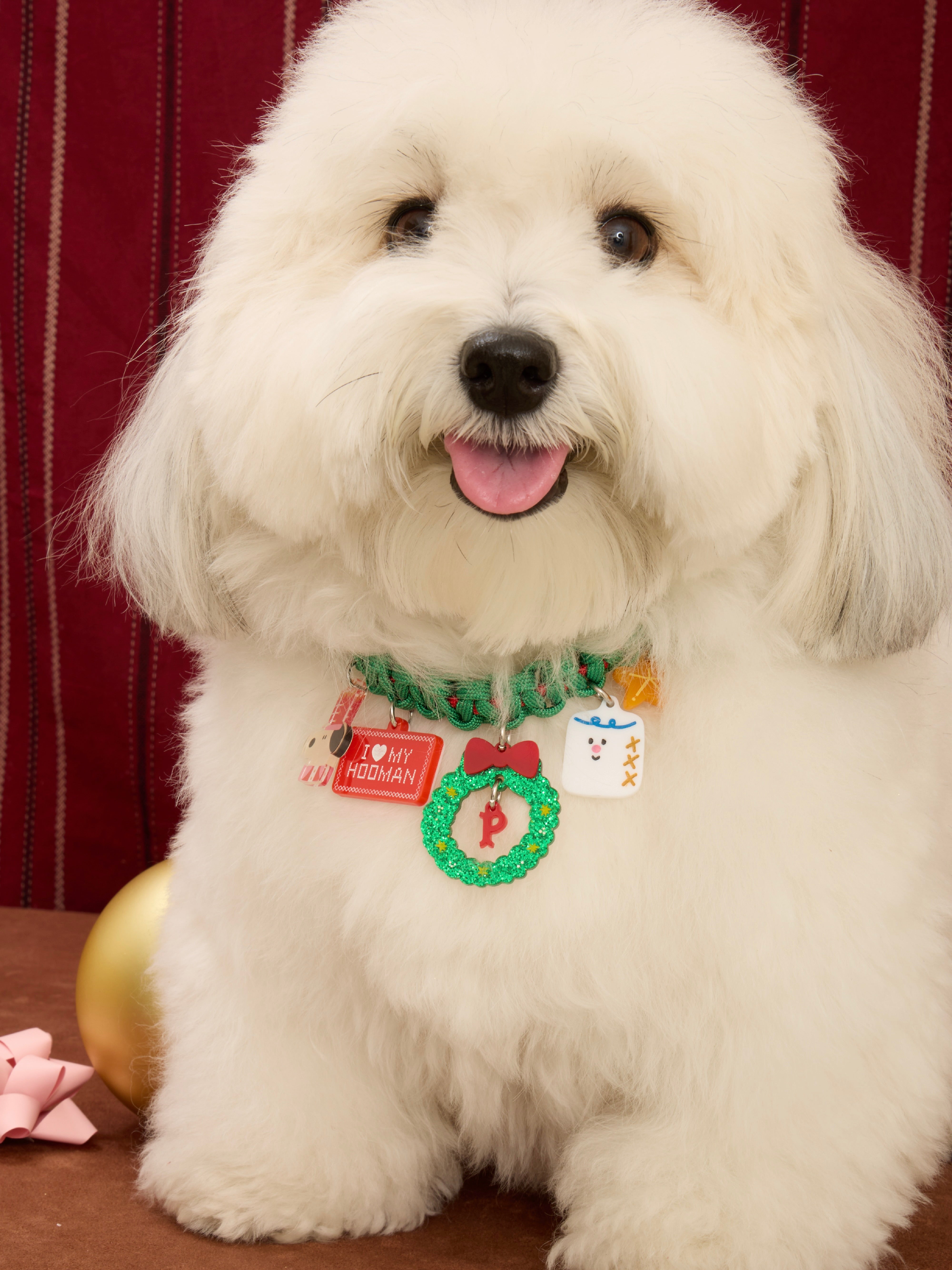 Christmas Campfire The Nutcracker SET | MD'S PICK