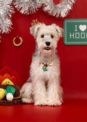 Create your own: Christmas Campfire Necklace Collection