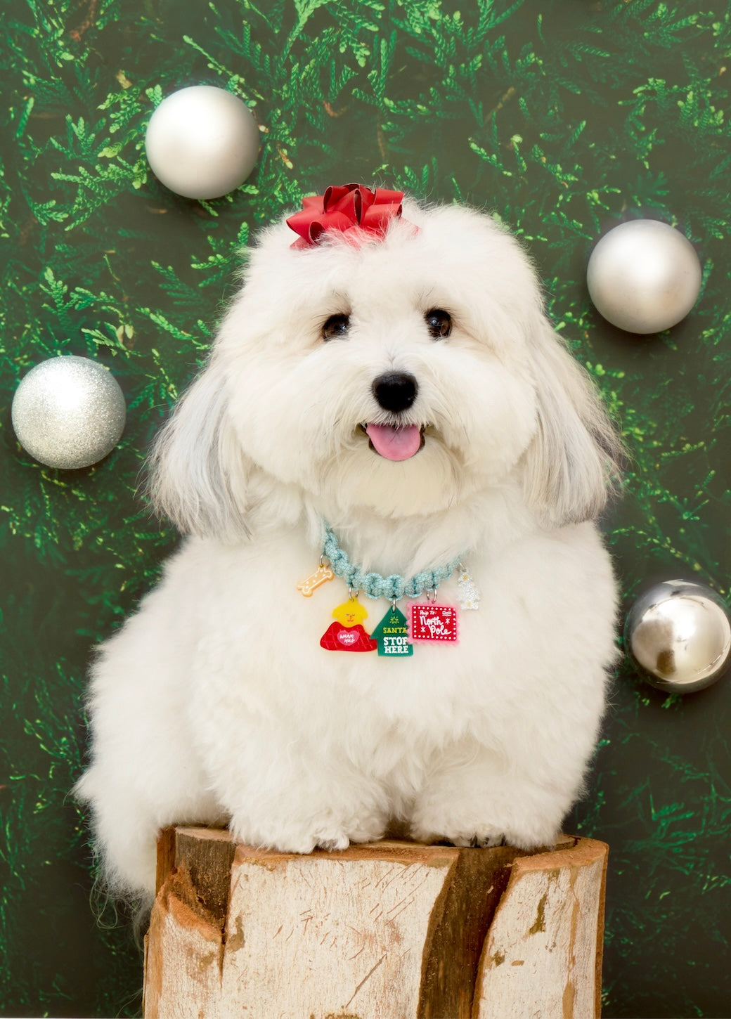 Create your own: Christmas Campfire Necklace Collection