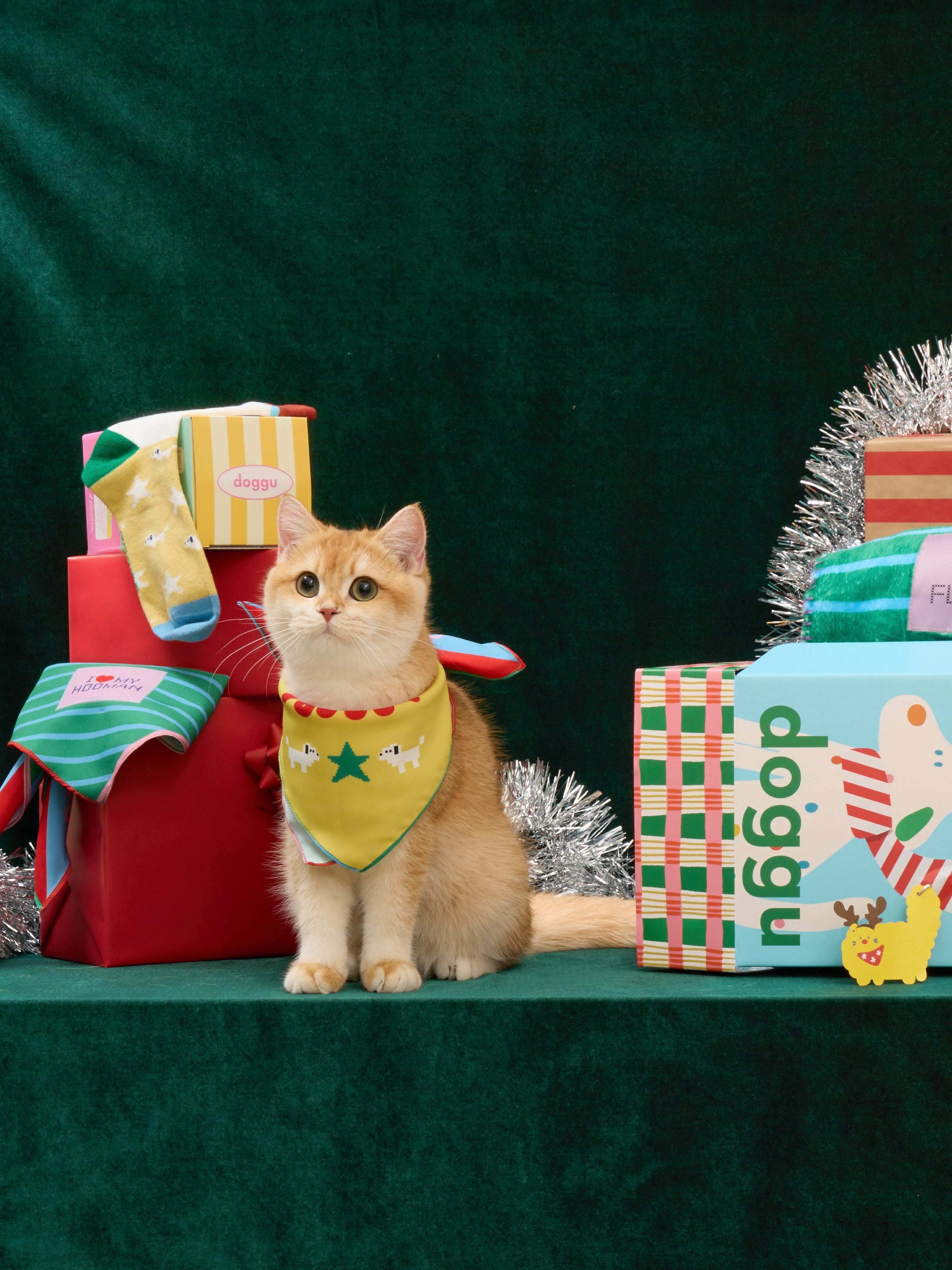 Create Your Own : Doggu Gift Set (Celebrate Together Hamper)