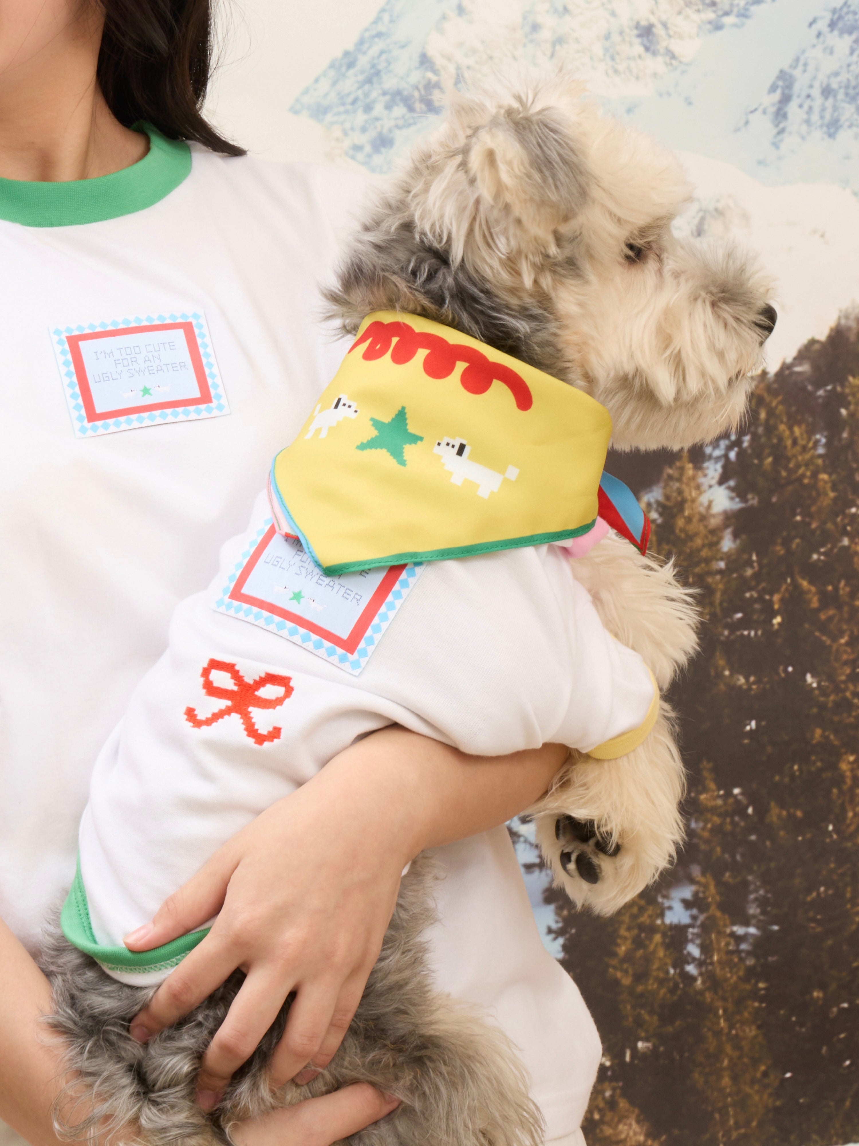 I’m too cute T-shirt : Christmas 2025 Collection