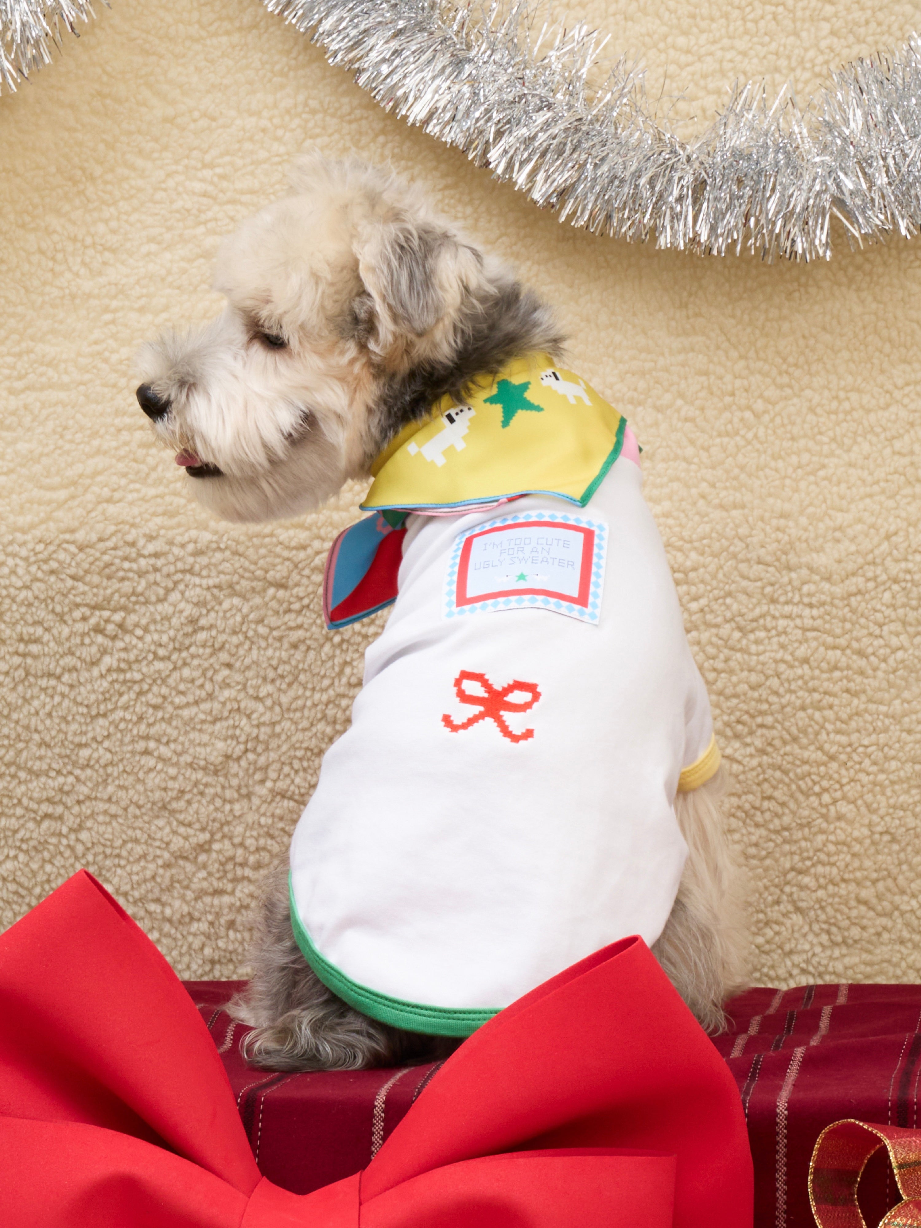 I’m too cute Pet Sweater : Chirstmas 2025 Collection