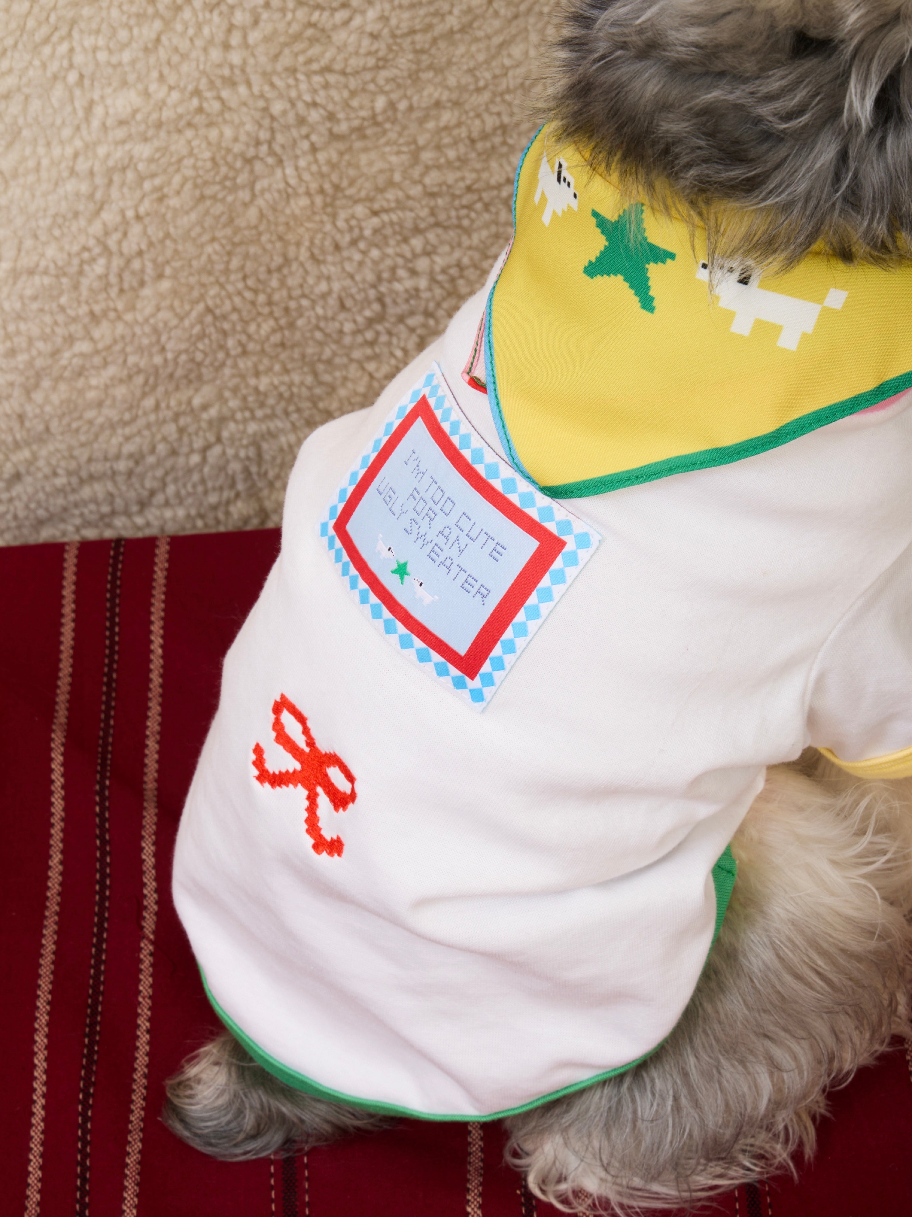 I’m too cute Pet Sweater : Chirstmas 2025 Collection