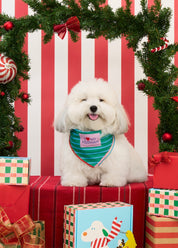 Doggu Gift Set (Set B) : Merry Together Set