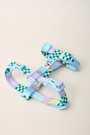 Manhattan Cherish H-Harness & Leash