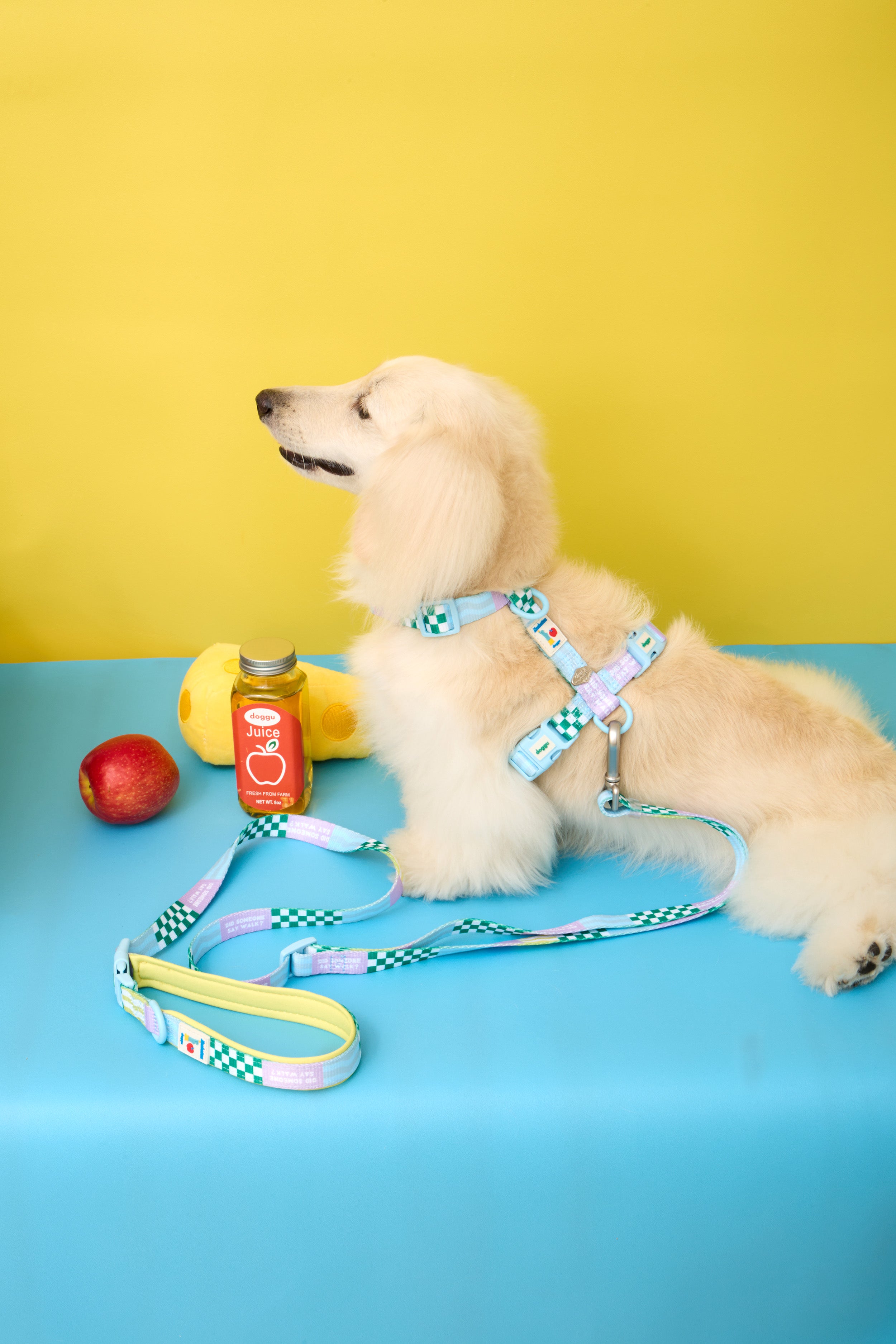 Manhattan Cherish H-Harness & Leash