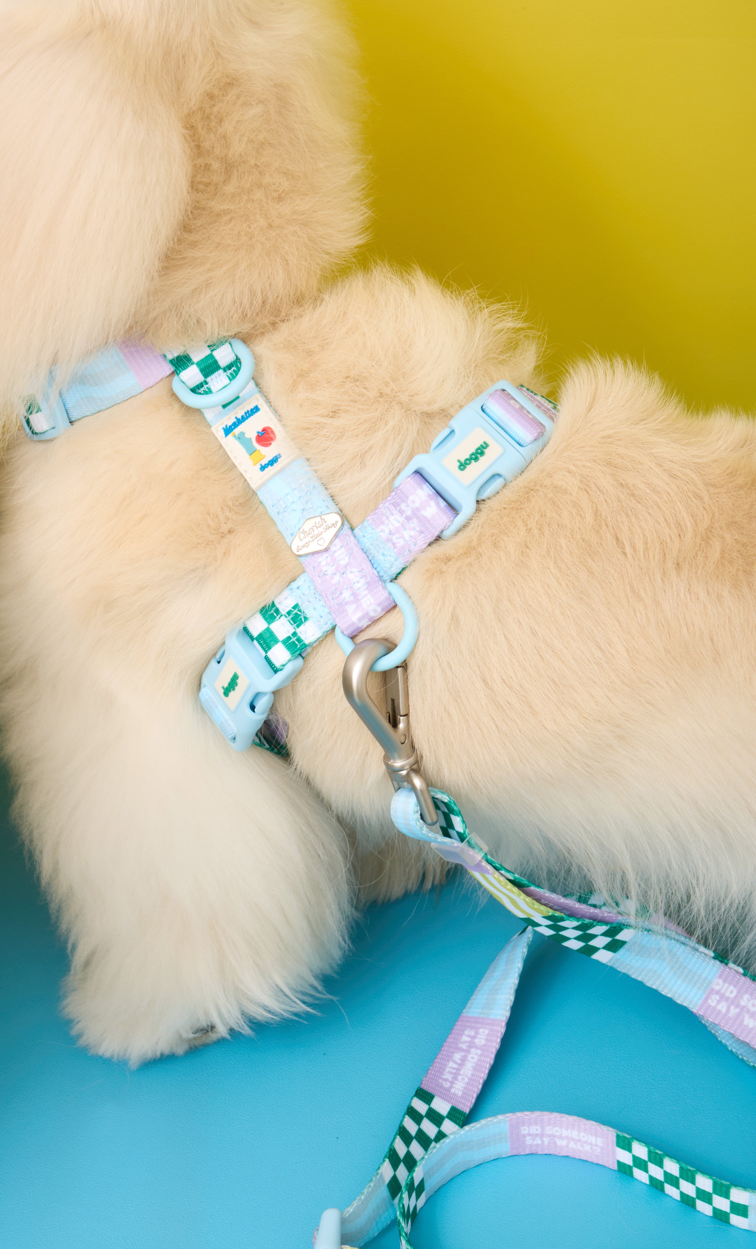 Manhattan Cherish H-Harness & Leash