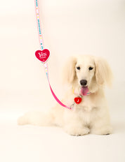 Heart Leash Wappen ❤️