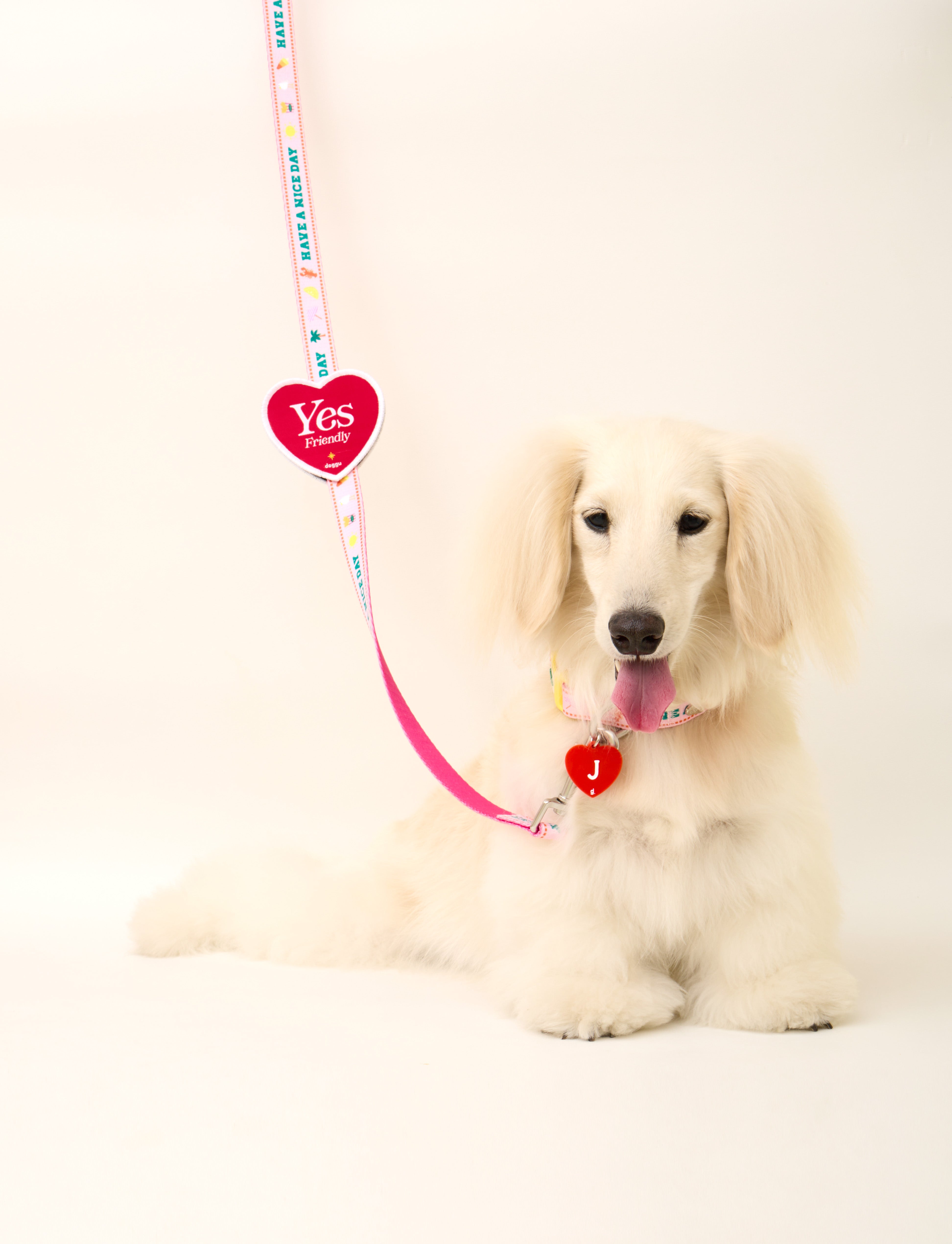 Heart Leash Wappen ❤️