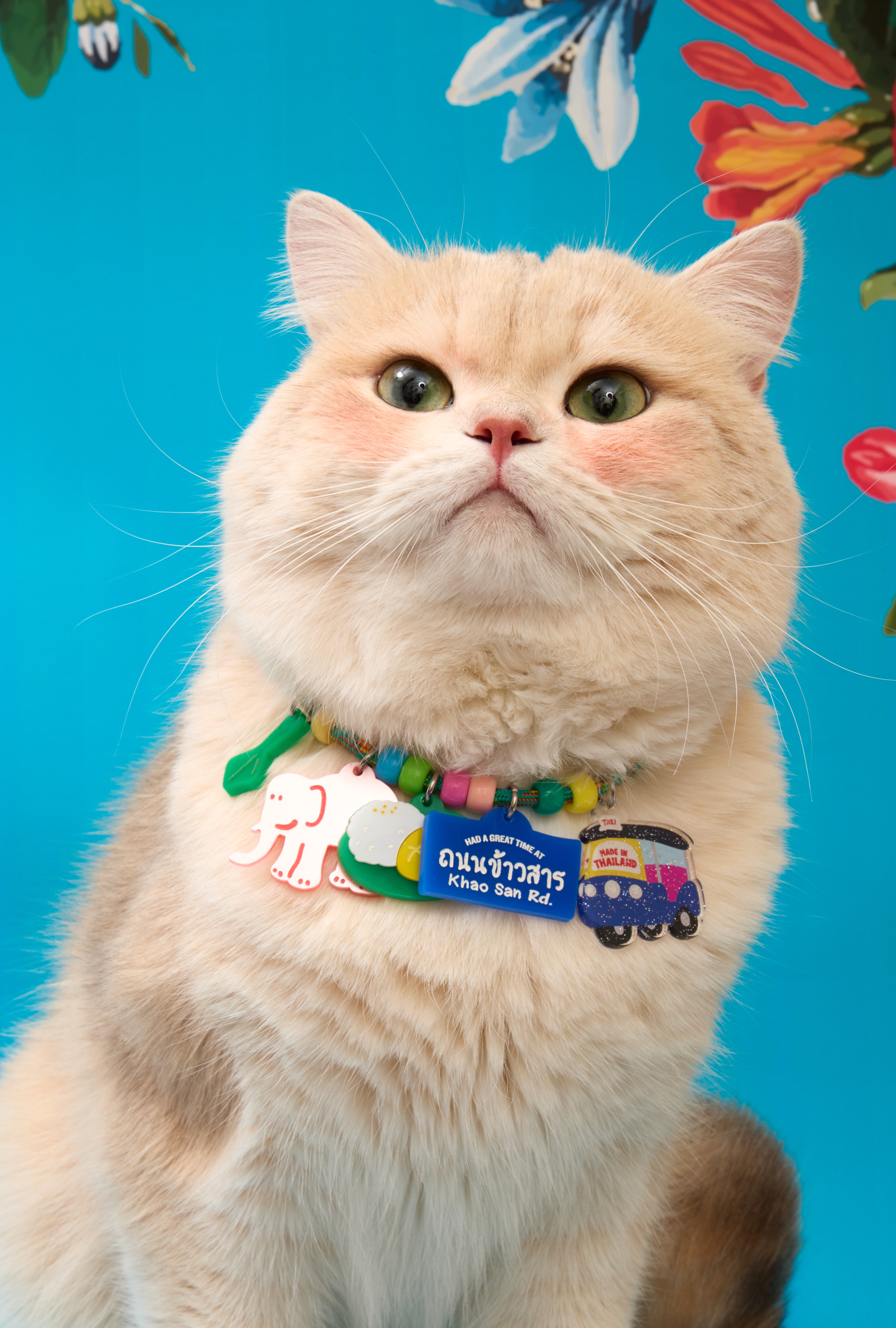 Pet Necklace Thailand Set : Khaosan Rd.