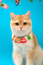 Pet Necklace Thailand Set : Muay Thai