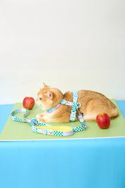 Manhattan Cherish H-Harness & Leash