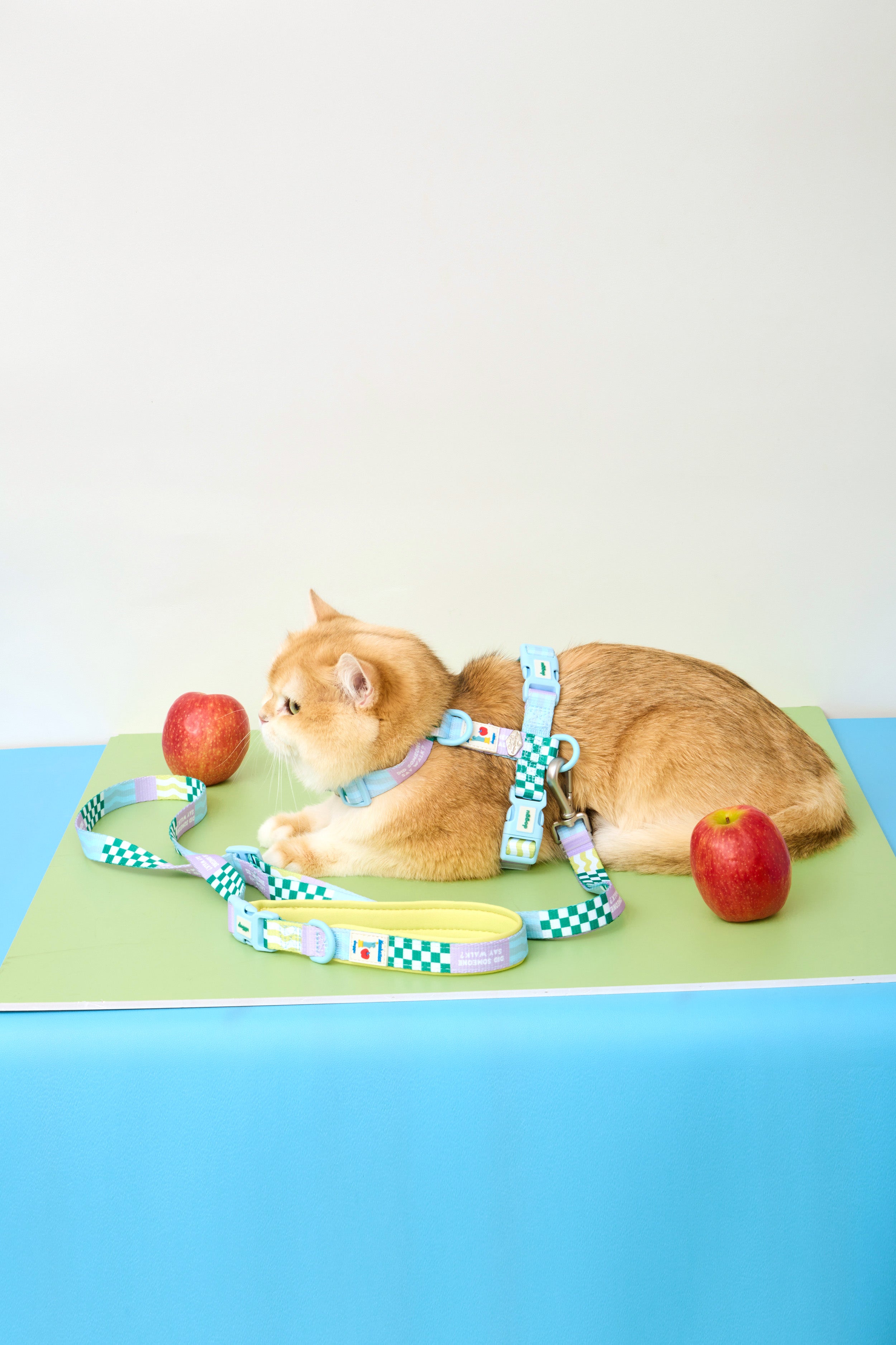 Manhattan Cherish H-Harness & Leash