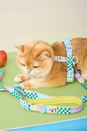 Manhattan Cherish H-Harness & Leash