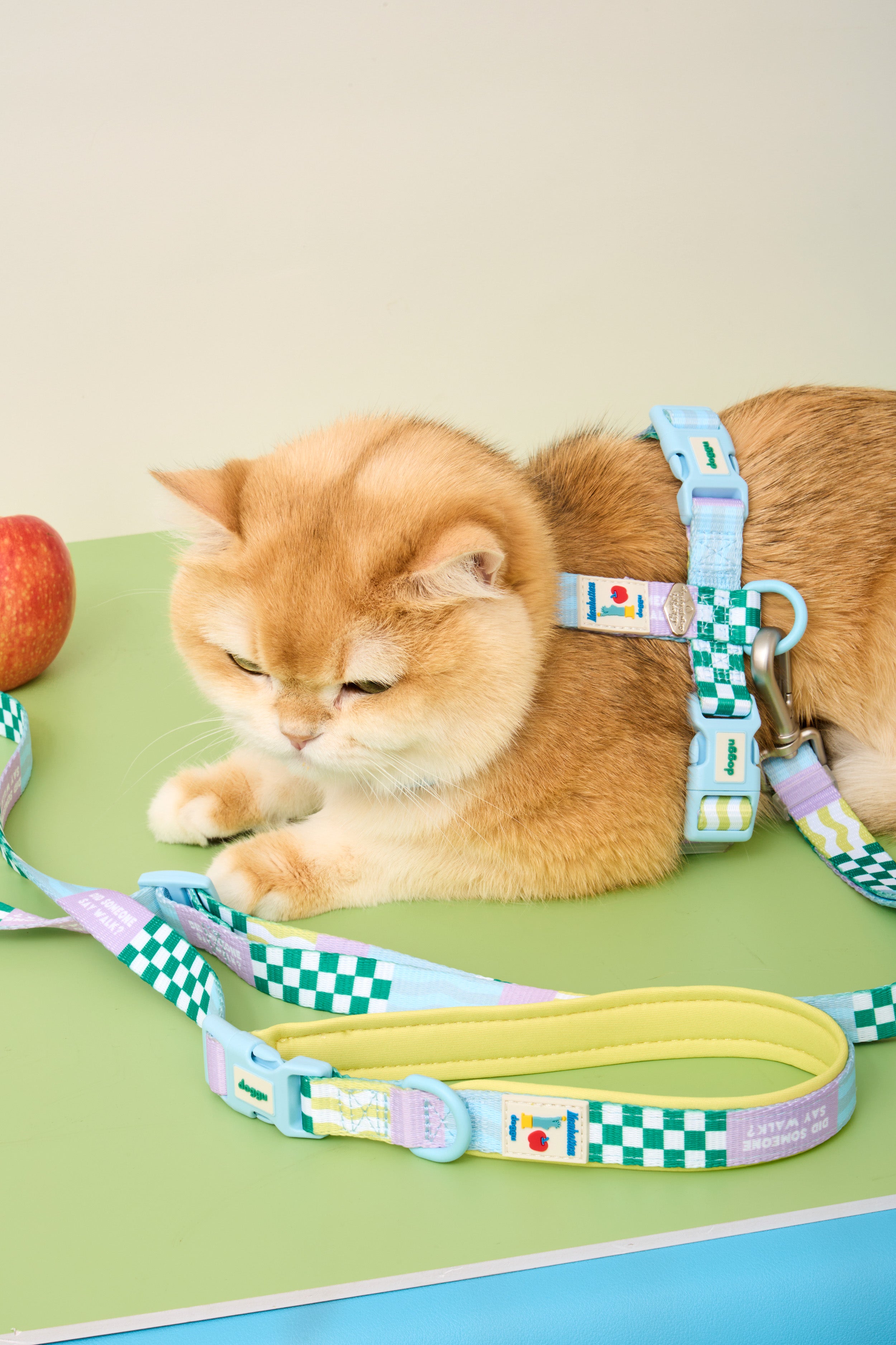 Manhattan Cherish H-Harness & Leash