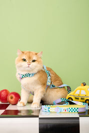 Manhattan Cherish H-Harness & Leash